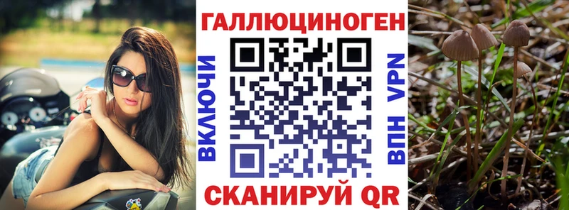 Галлюциногенные грибы Magic Shrooms купить наркотик блэк спрут ссылки Власиха